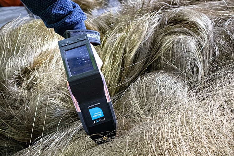 FEnX-T portable analyser